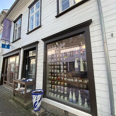 I Sentrum Apartment Risor